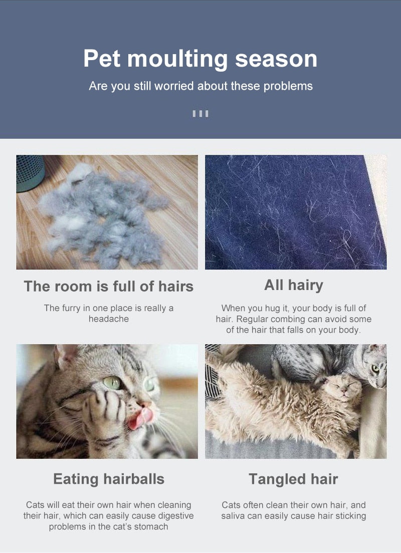 Cleaning Slicker Brush